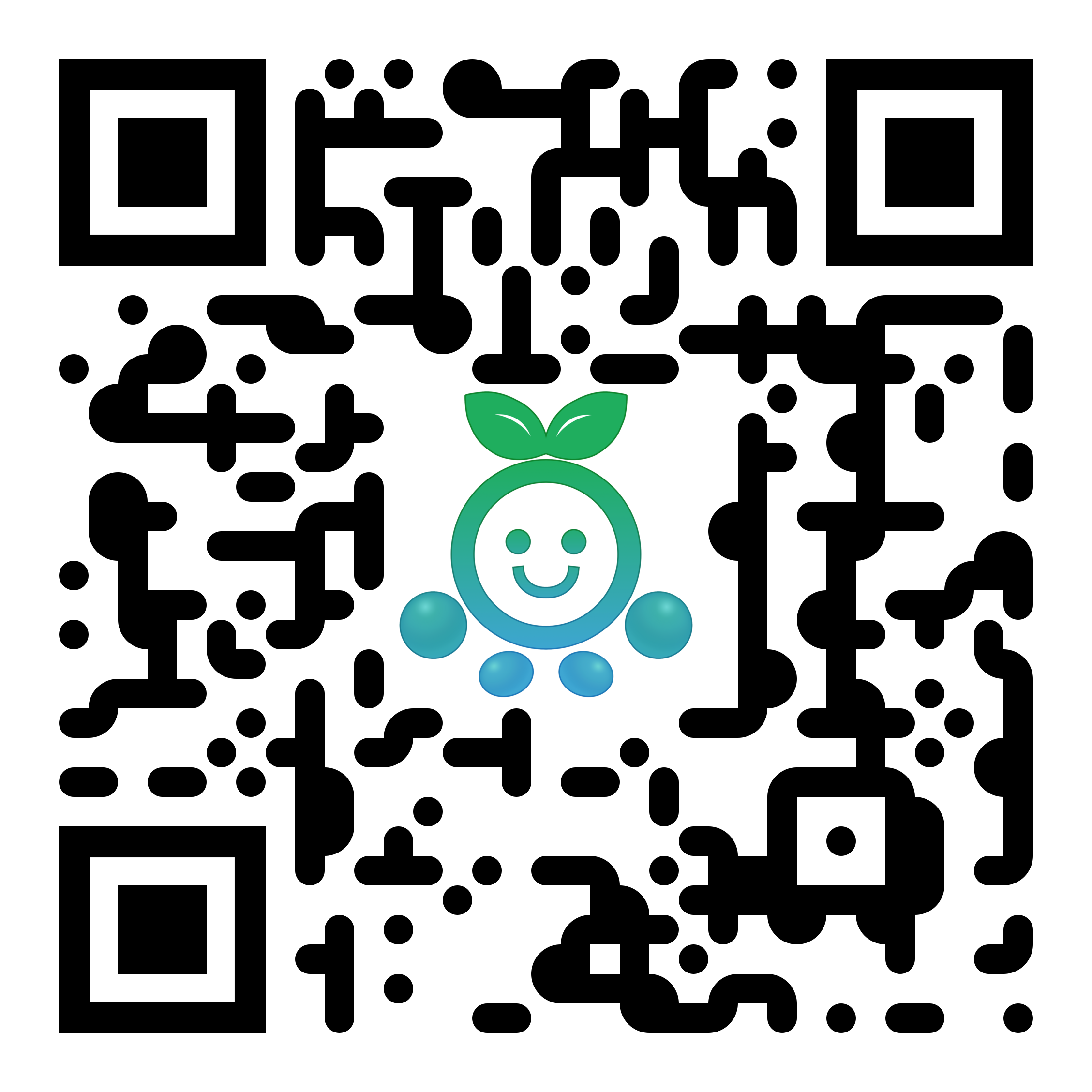QR Code for NetPass